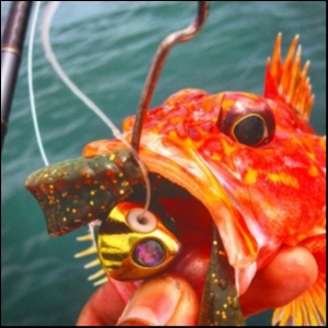 hideup 森田健太郎 ブログ写真 2018/07/08