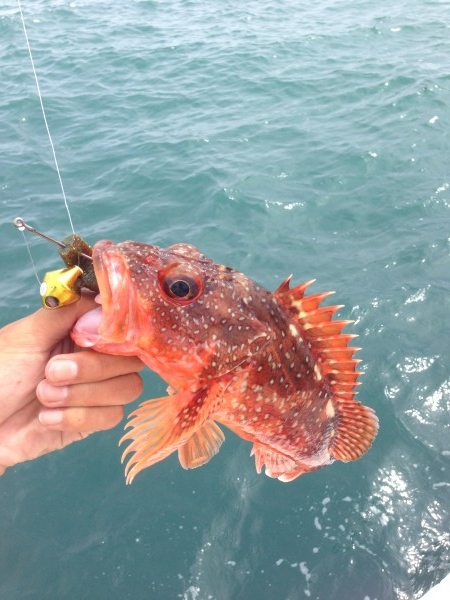 hideup 森田健太郎 ブログ写真 2018/07/09