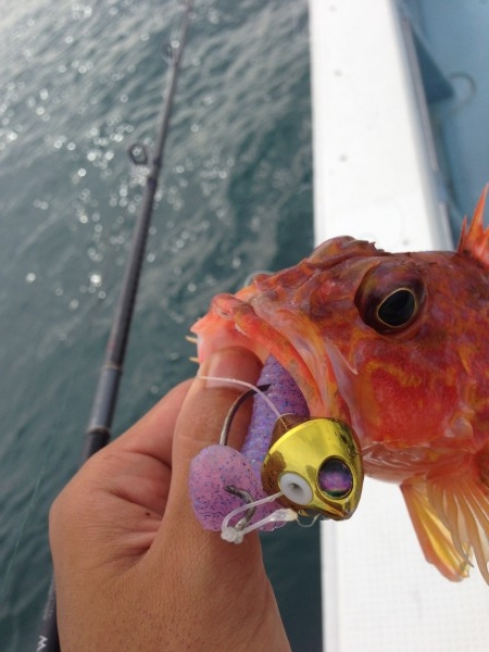 hideup 森田健太郎 ブログ写真 2018/07/09