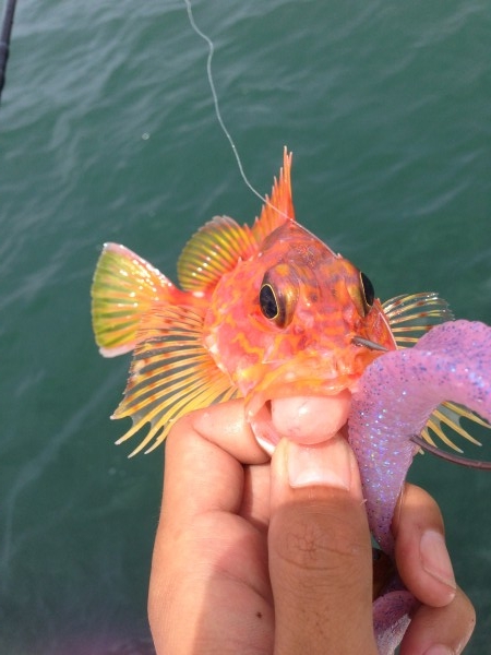 hideup 森田健太郎 ブログ写真 2018/07/09