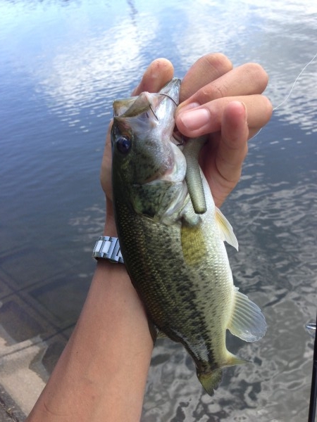 hideup 森田健太郎 ブログ写真 2018/07/10