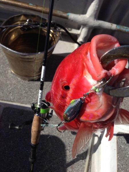 hideup 森田健太郎 ブログ写真 2018/07/21