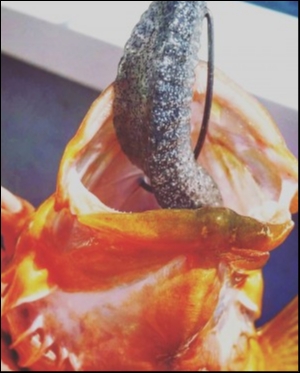 hideup 森田健太郎 ブログ写真 2018/08/04