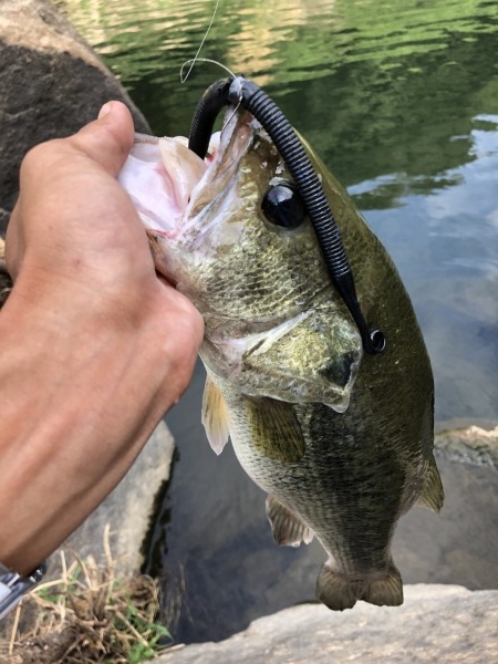 hideup 森田健太郎 ブログ写真 2018/08/09