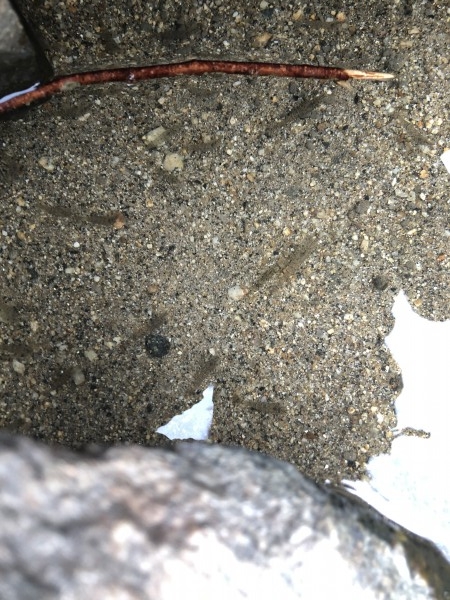 hideup 森田健太郎 ブログ写真 2018/08/09