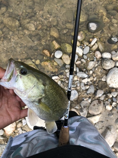 hideup 森田健太郎 ブログ写真 2018/08/09