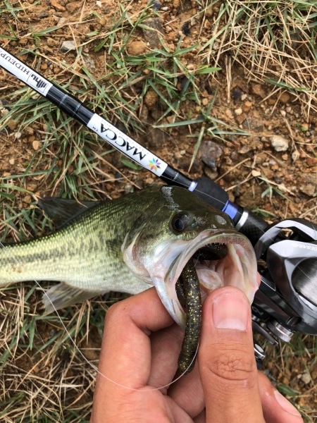 hideup 森田健太郎 ブログ写真 2018/08/16