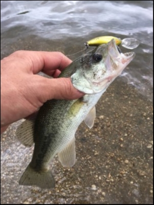 hideup 森田健太郎 ブログ写真 2018/08/16