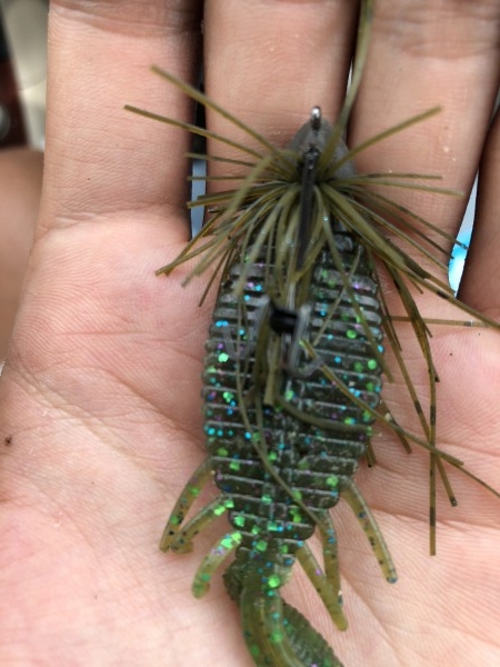 hideup 森田健太郎 ブログ写真 2018/08/16