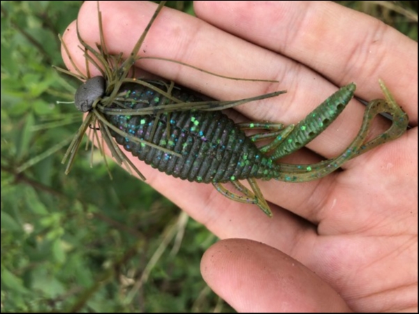 hideup 森田健太郎 ブログ写真 2018/08/16