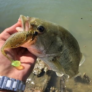 hideup 森田健太郎 ブログ写真 2018/08/17