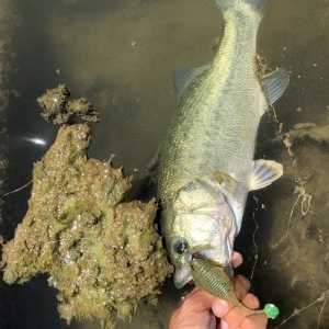 hideup 森田健太郎 ブログ写真 2018/08/17