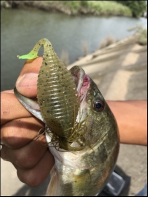hideup 森田健太郎 ブログ写真 2018/08/19