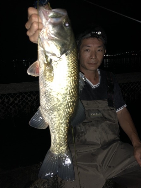 hideup 森田健太郎 ブログ写真 2018/08/20