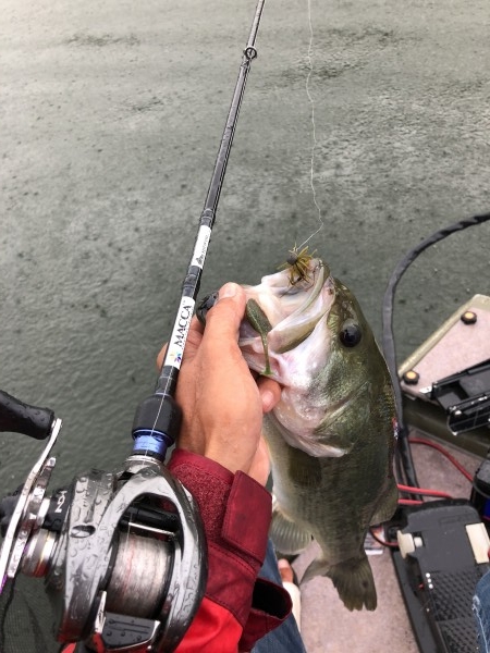 hideup 森田健太郎 ブログ写真 2018/08/21