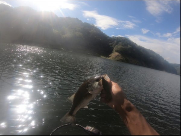 hideup 森田健太郎 ブログ写真 2018/08/21