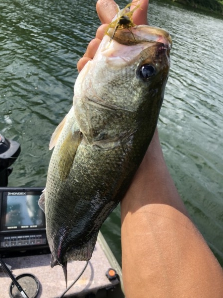 hideup 森田健太郎 ブログ写真 2018/08/21