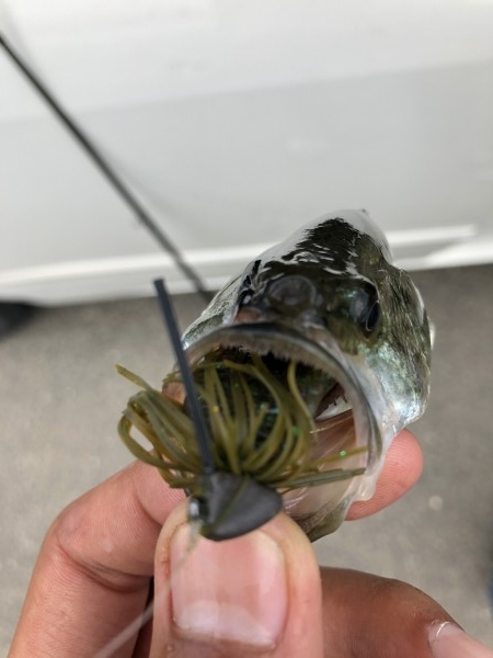 hideup 森田健太郎 ブログ写真 2018/08/23