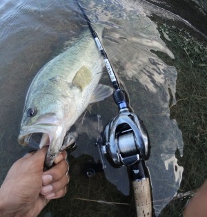 hideup 森田健太郎 ブログ写真 2018/09/03