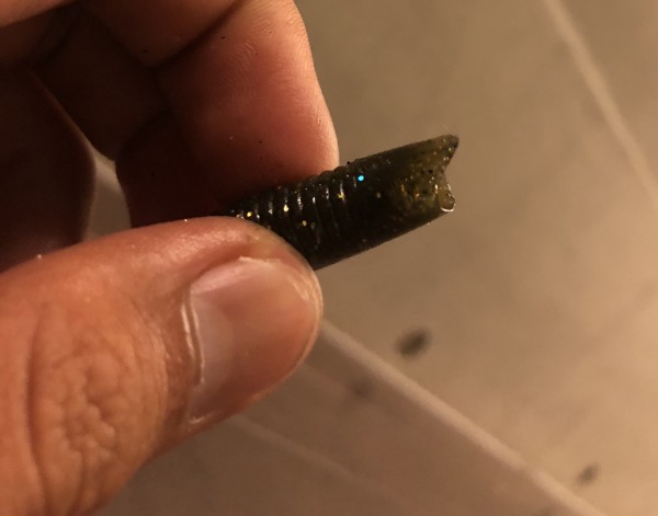 hideup 森田健太郎 ブログ写真 2018/09/04