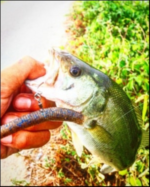 hideup 森田健太郎 ブログ写真 2018/09/04