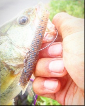 hideup 森田健太郎 ブログ写真 2018/09/04