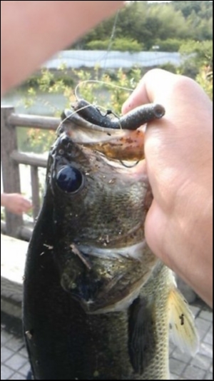 hideup 森田健太郎 ブログ写真 2018/09/04