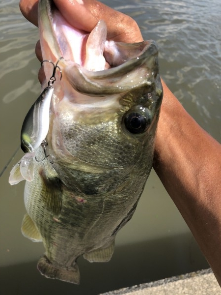 hideup 森田健太郎 ブログ写真 2018/09/05