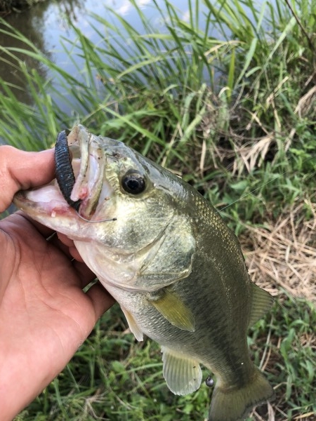 hideup 森田健太郎 ブログ写真 2018/09/05