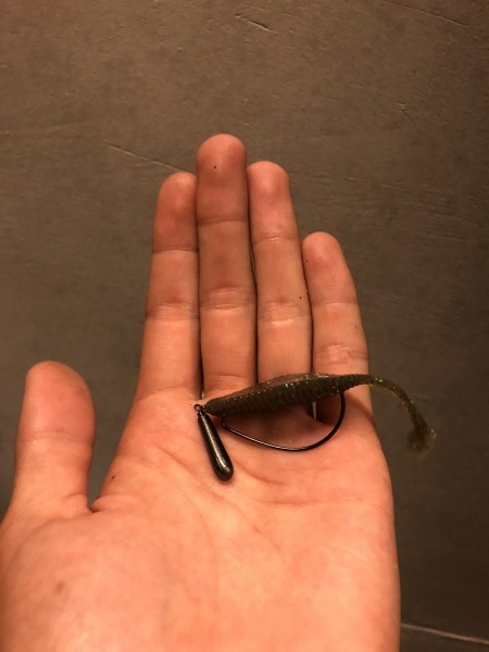 hideup 森田健太郎 ブログ写真 2018/09/07