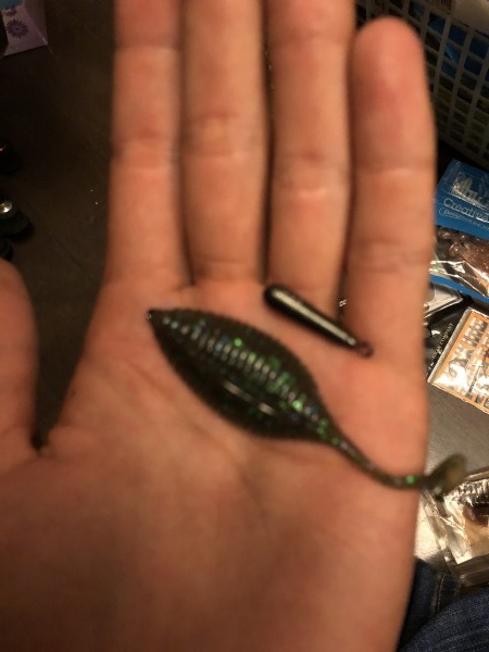 hideup 森田健太郎 ブログ写真 2018/09/07