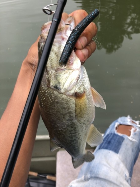 hideup 森田健太郎 ブログ写真 2018/09/08