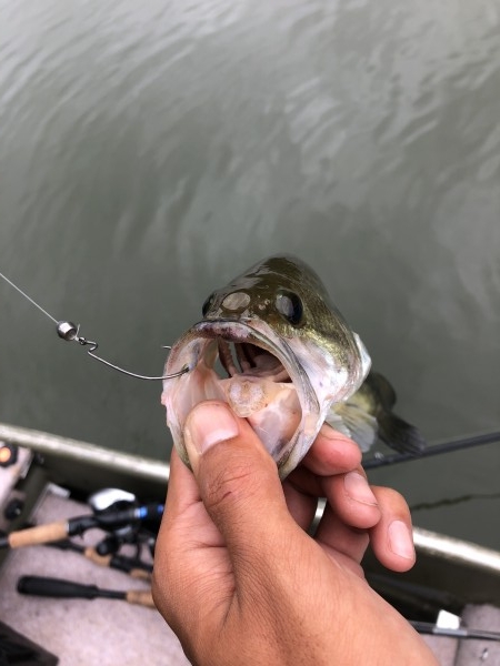 hideup 森田健太郎 ブログ写真 2018/09/08