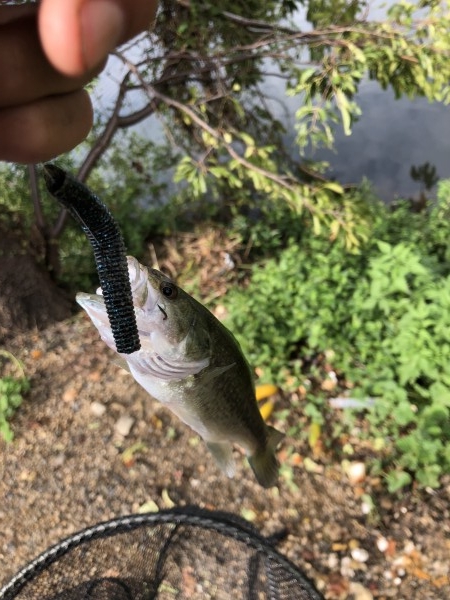 hideup 森田健太郎 ブログ写真 2018/09/12