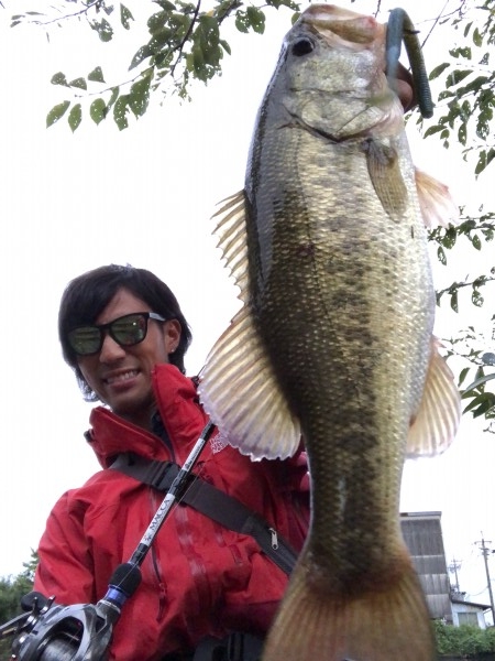 hideup 森田健太郎 ブログ写真 2018/09/12