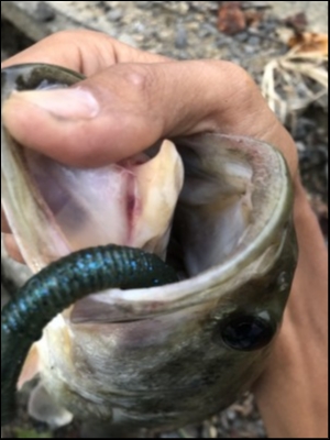 hideup 森田健太郎 ブログ写真 2018/09/13