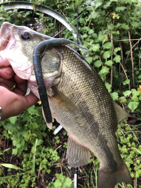 hideup 森田健太郎 ブログ写真 2018/09/15