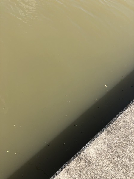 hideup 森田健太郎 ブログ写真 2018/10/02