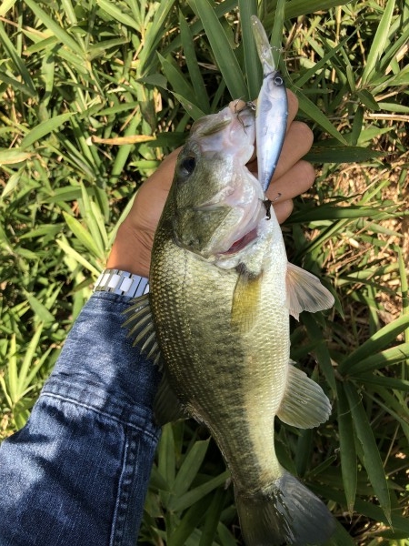 hideup 森田健太郎 ブログ写真 2018/10/02