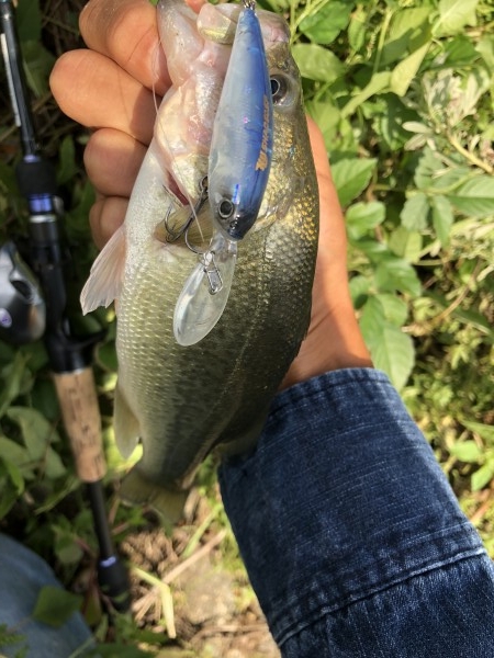 hideup 森田健太郎 ブログ写真 2018/10/02