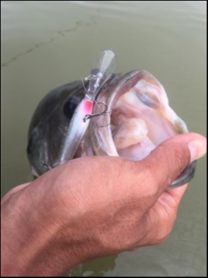 hideup 森田健太郎 ブログ写真 2018/10/04