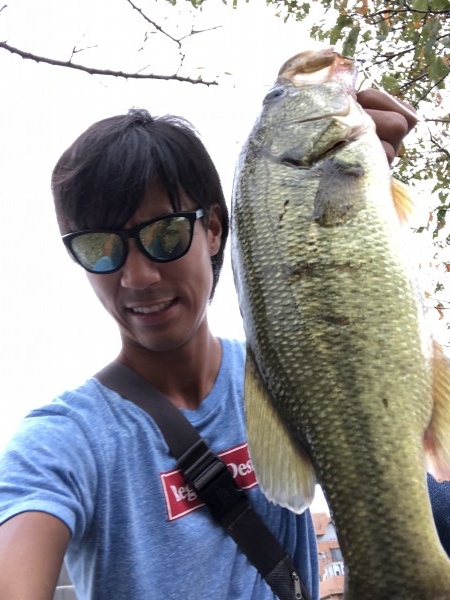 hideup 森田健太郎 ブログ写真 2018/10/05