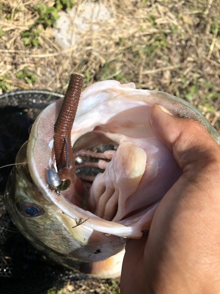 hideup 森田健太郎 ブログ写真 2018/10/08