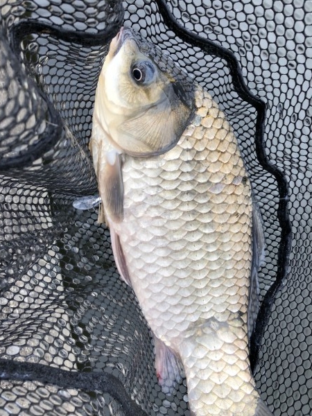 hideup 森田健太郎 ブログ写真 2018/10/10