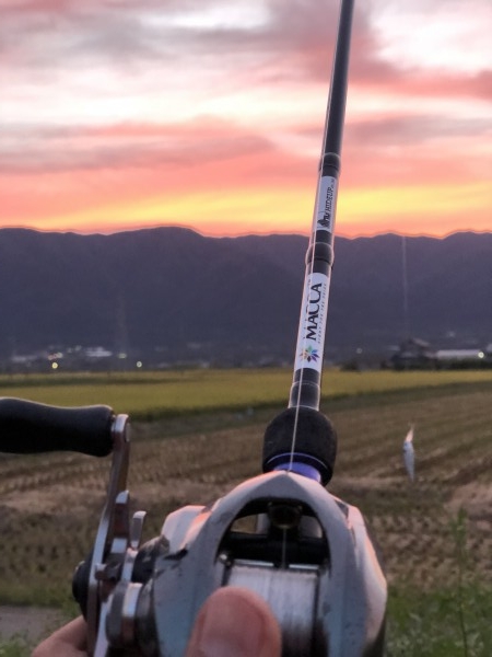 hideup 森田健太郎 ブログ写真 2018/10/13