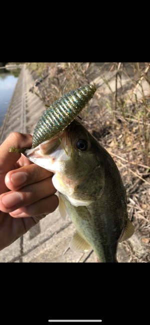 hideup 森田健太郎 ブログ写真 2018/10/16