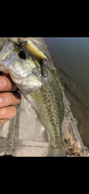 hideup 森田健太郎 ブログ写真 2018/10/16