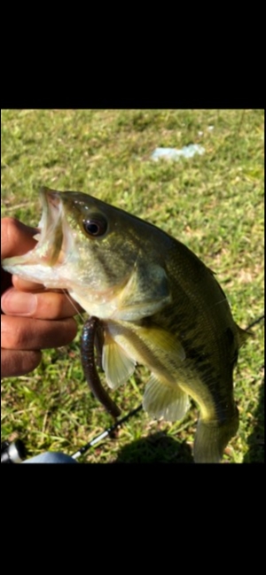 hideup 森田健太郎 ブログ写真 2018/10/16