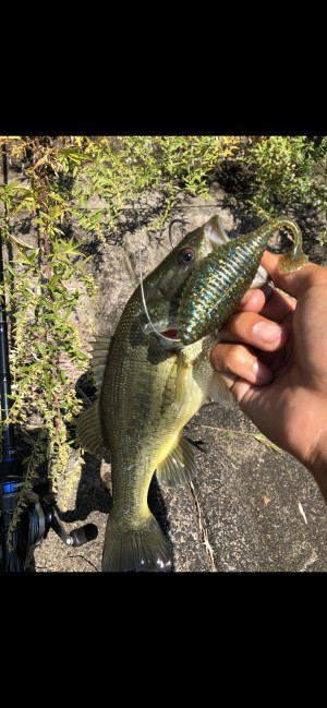 hideup 森田健太郎 ブログ写真 2018/10/16