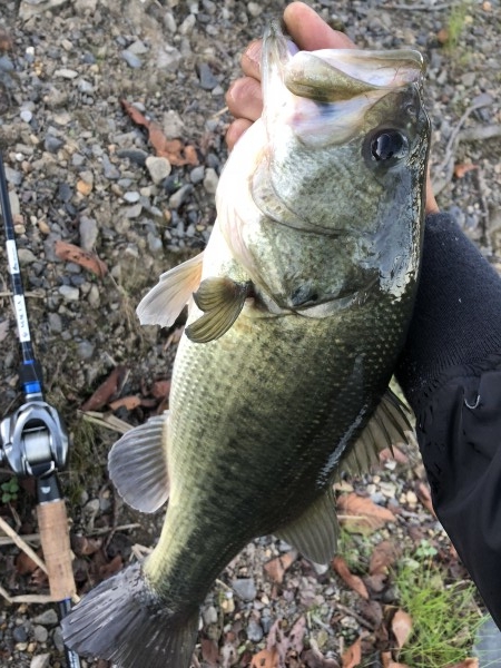 hideup 森田健太郎 ブログ写真 2018/11/02